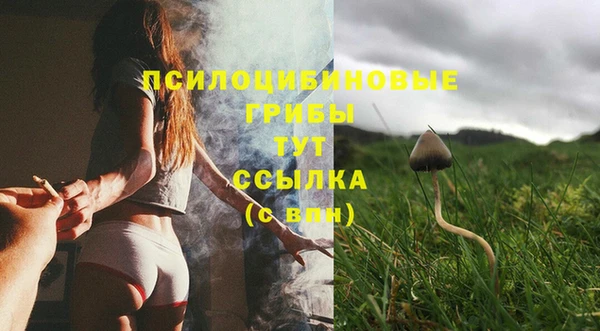 скорость Баксан